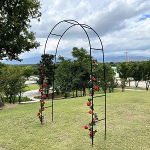 Classic Gothic Metal Garden Arch, 1pc Rose Arbor for Various Climbing Plants, Versatile Indoor & Outdoor Wedding Archway, Patio Pergola for Garden Lawn Party Decor, Lightweight Geometric Design with Multiple Assembly Options